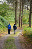Perfect place for a dog walk