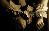 Going to the Ball