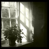 Let the sunshine in