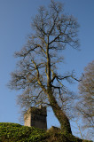 Cuchulainns Mount