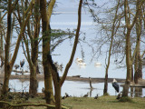 Lake Nakuru National Park
