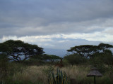 Kilimanjaro in the morning, 3rd day