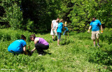 Volunteers digging holes for hackberry trees