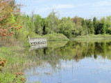 Boardwalk along Turtle Pond