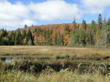 A Quiet Algonquin Pond