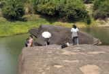 Turtle rock