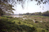 Turtle river