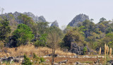 Karst mountains