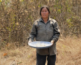 Laos woman shaking eggs of red ant