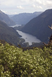 Doubtful sound from the pass