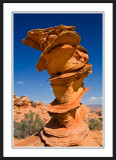 Southwest: South Coyote Buttes