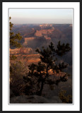 Yavapai Point