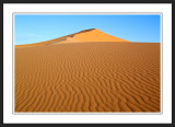 Coral Pink Sand Dunes