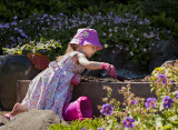 Planting in pink