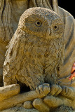 Little Owl by Remy Gerts  (click to enlarge)