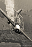 Yak-52 Janie