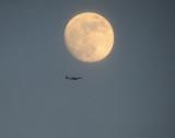 Fly Me to the Moon