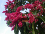 GBarrett©2012_IMGP0437.JPG