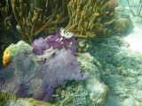 GBarrett©2012_IMGP1119.JPG