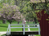 Welcome to the covered bridge