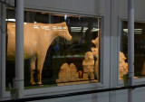 Butter cow