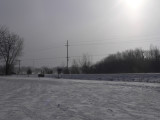 New Years Day