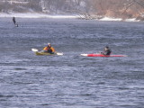 Intrepid, frozen paddlers