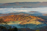 Morning Fog: Giles County