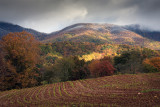 Fall Planting-Franklin County