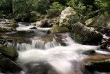 Stoney Creek