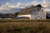 White Barn Near Monte Vista