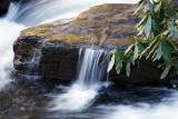 Silky Water: Little Stoney, Giles County