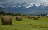 Hay Bails Near The RL Ranch