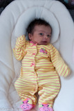 DSC04784.jpg