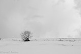 DSC05338.jpg