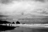Cannon Beach I