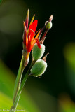DSC07751.jpg