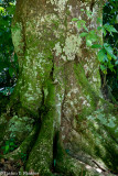 DSC07336.jpg