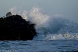 Wave - Number 06