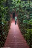 Hanging Bridge