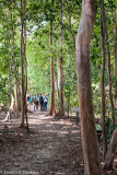 DSC08502.jpg