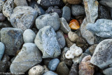 DSC00312.jpg