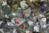 DSC00322.jpg
