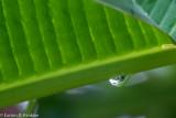 DSC00519.jpg