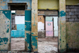 Pink Door