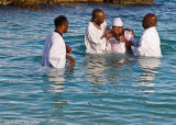 Born of Water III - Montego Bay