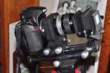 D700, 55mm Micro Nikkor, PB-4 bellows and PS-4 slide/film copier