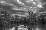 Storm building over bayou