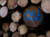 O.S.B.