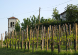 Vineyards and churches. Churches and vineyards.